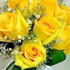 Meet your Posher, Patti